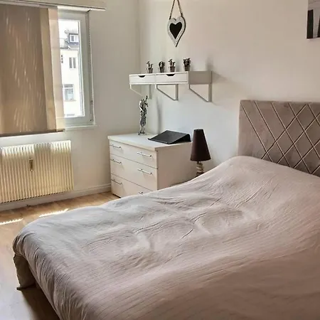 3 Pieces En Plein Centre De Strasbourg